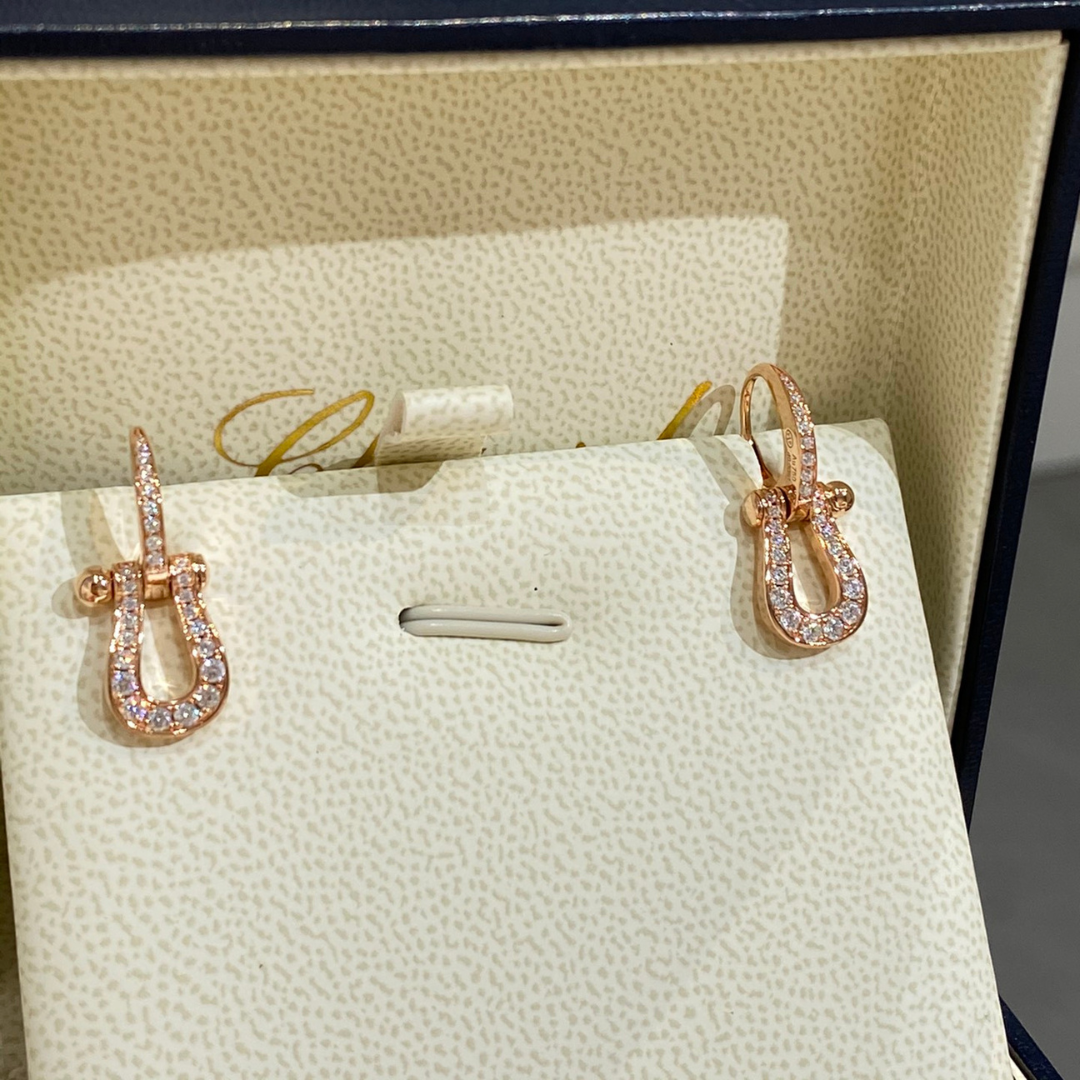 FORCE 10 EARRINGS