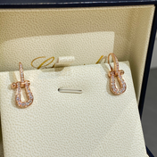 FORCE 10 EARRINGS