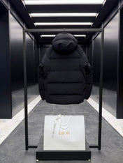 DIOR 25S LUXURY DOWN JACKET 608