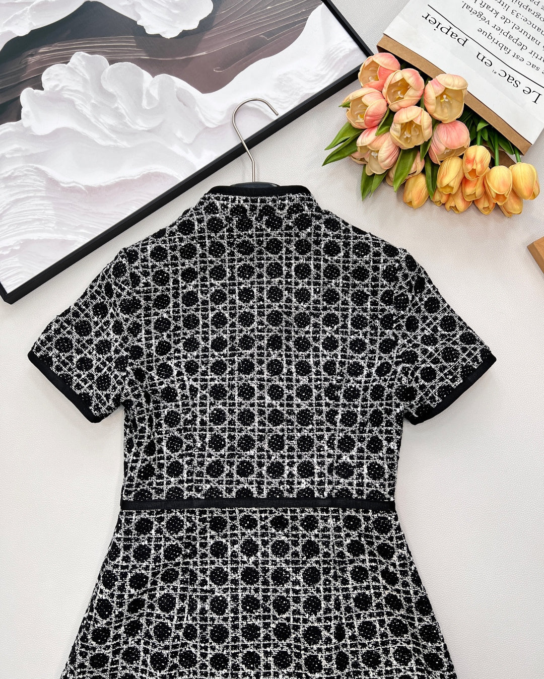 DIOR 26S SHORT-SLEEVE DRESS 979