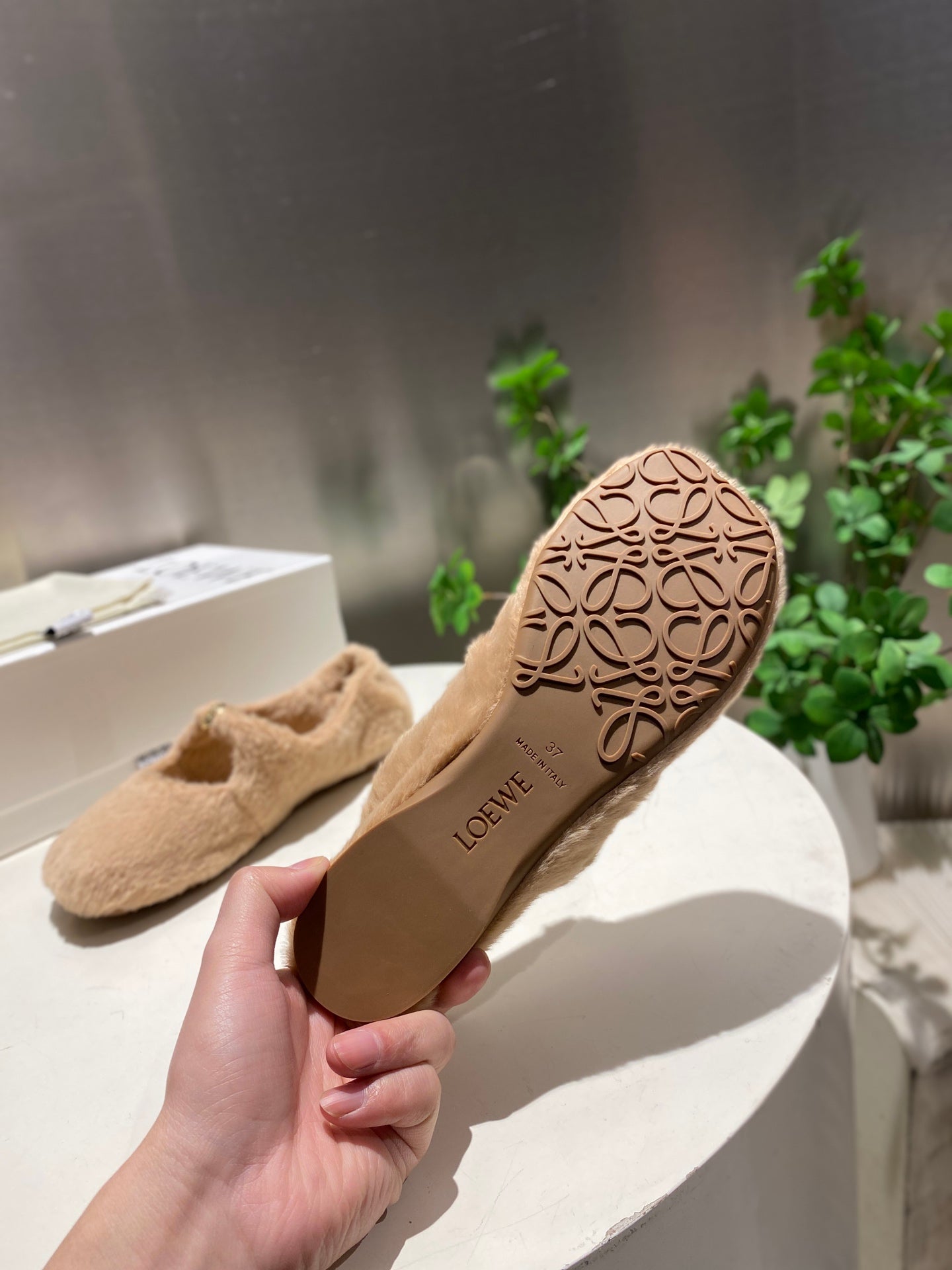 LOEWE 26S BALLET FLATS IN BEIGE SHEARLING