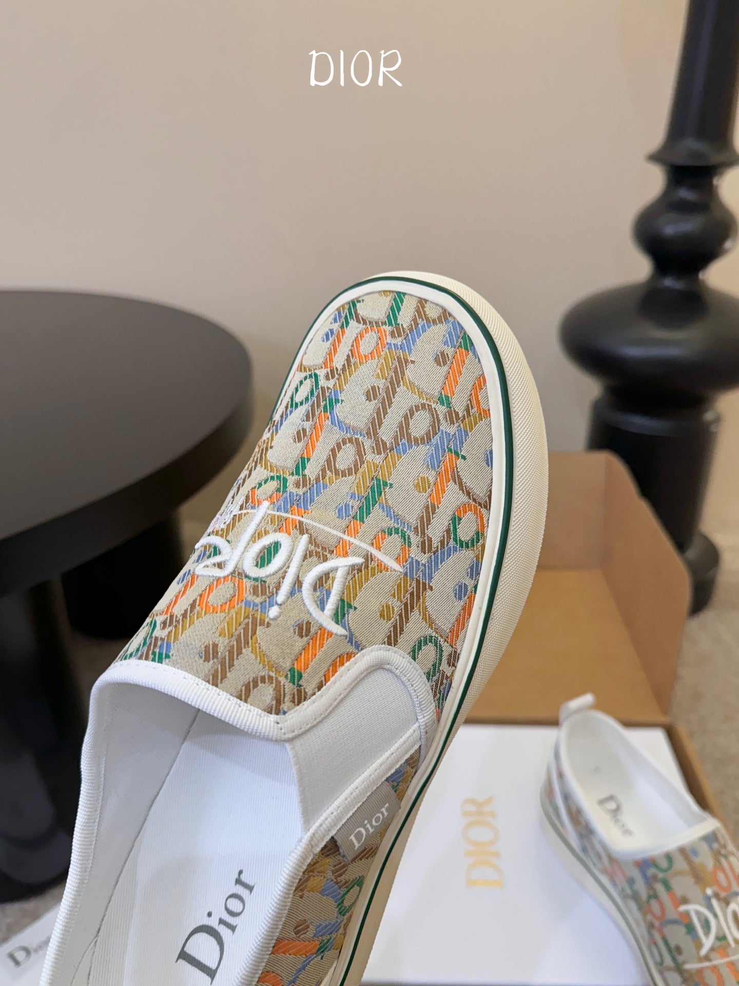DIOR 26S WALK'N'DIOR SLIP-ON SNEAKERS IN MULTICOLOR DIOR OBLIQUE EMBROIDERED CANVAS STYLE 03