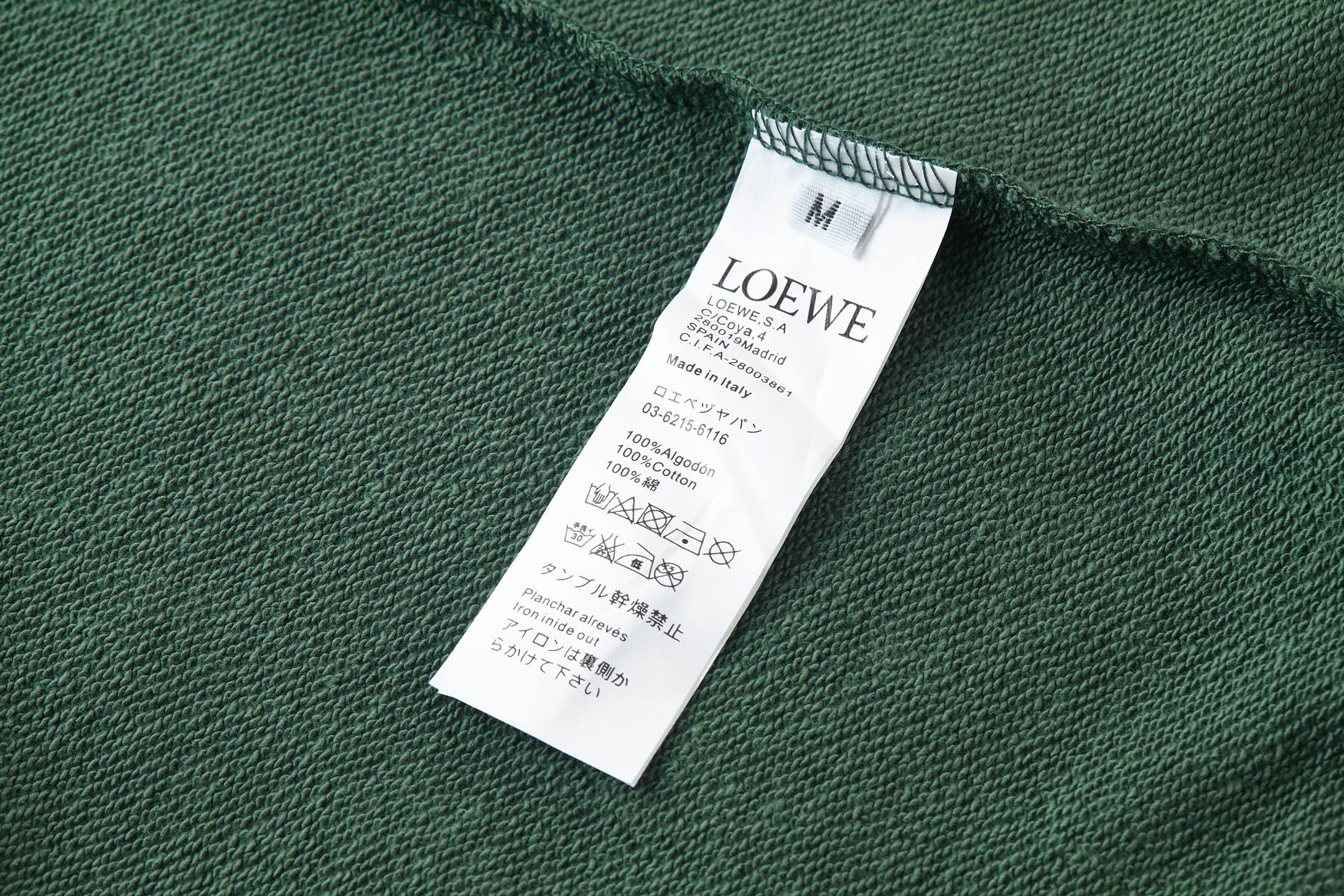 LOEWE HOODIE STYLE 81